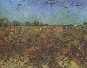 Vincent Van Gogh The Green Vineyard (nn04) oil